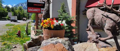 A building with a 'VACANCY' sign, a large deer sculpture, and a flower arrangement.