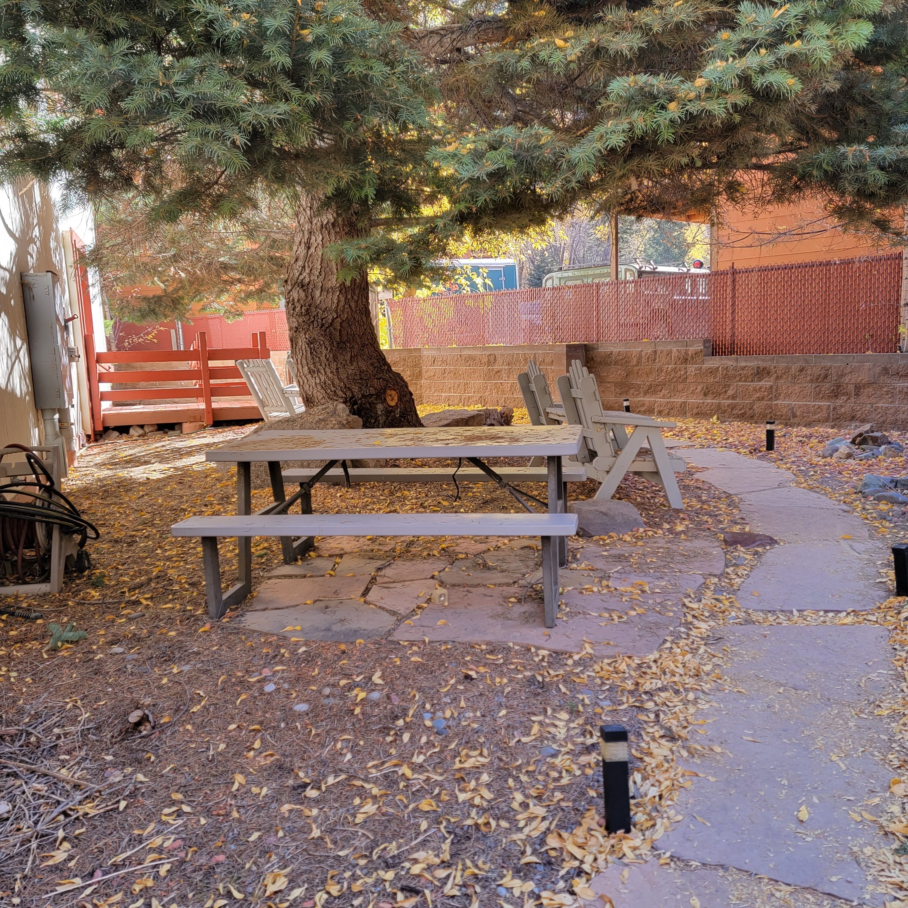 An outdoor patio area with a picnic table, benches, and a tree.