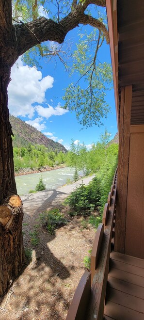 Premium bedding, pillowtop beds, in-room safe, blackout drapes - Hot Springs Inn (Ouray)