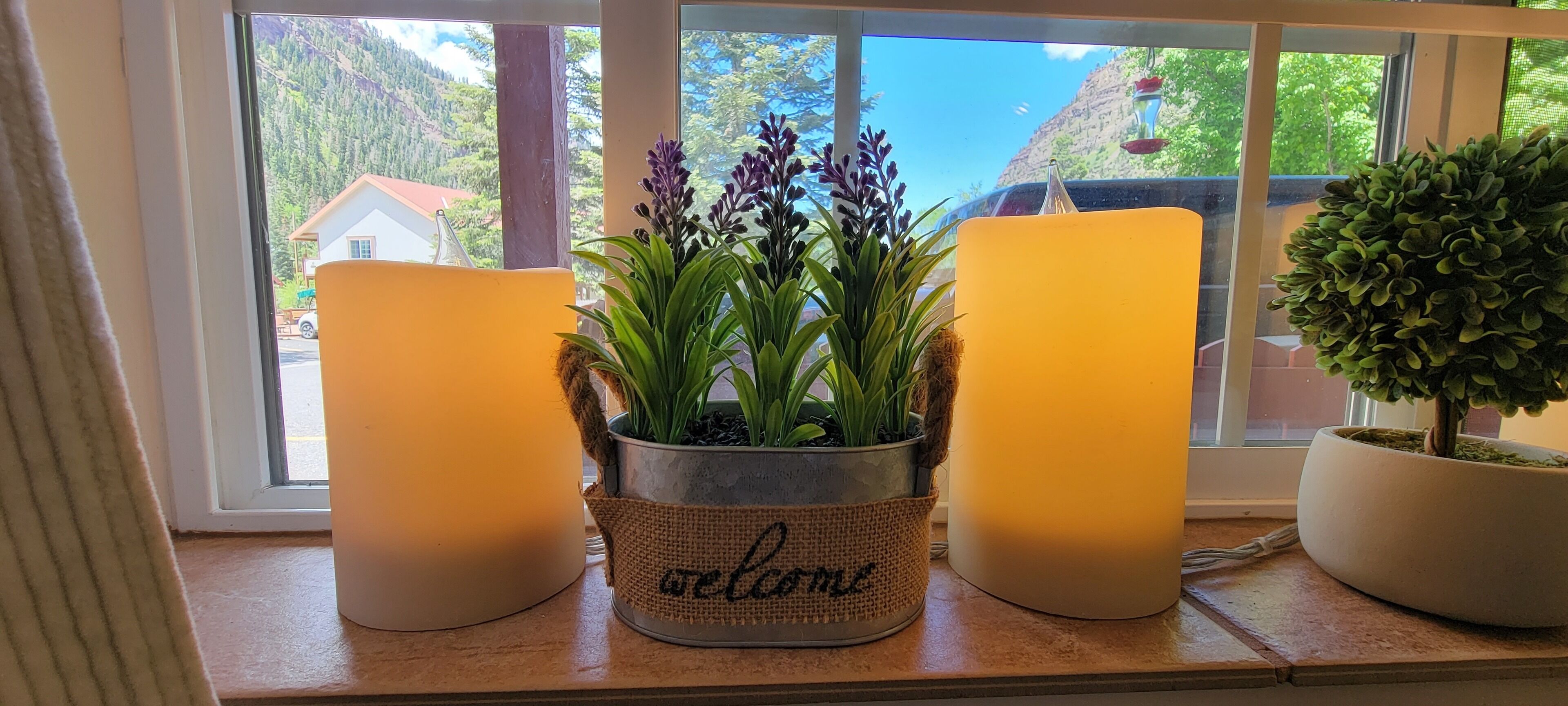 A window with three potted plants and candles on a ledge.