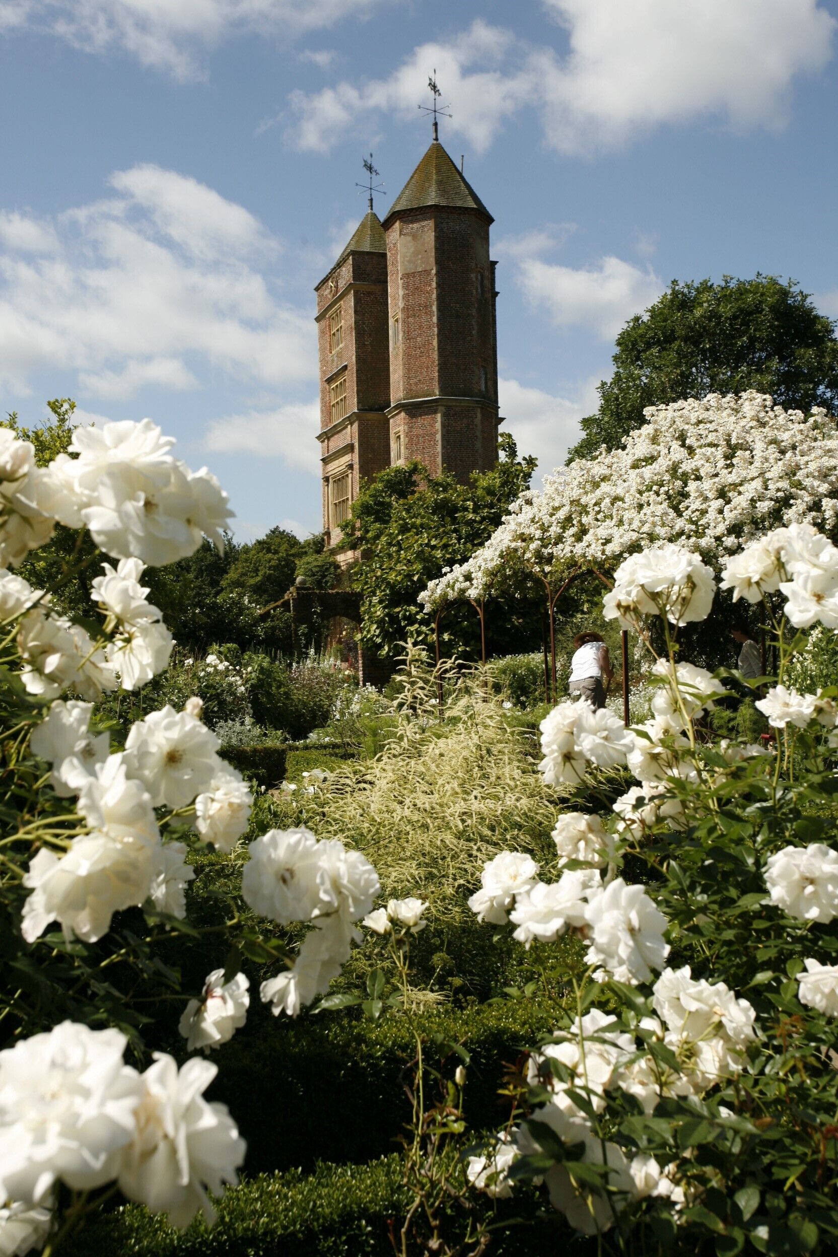 Una torre histórica con un reloj, rodeada de exuberantes flores blancas y follaje verde.
