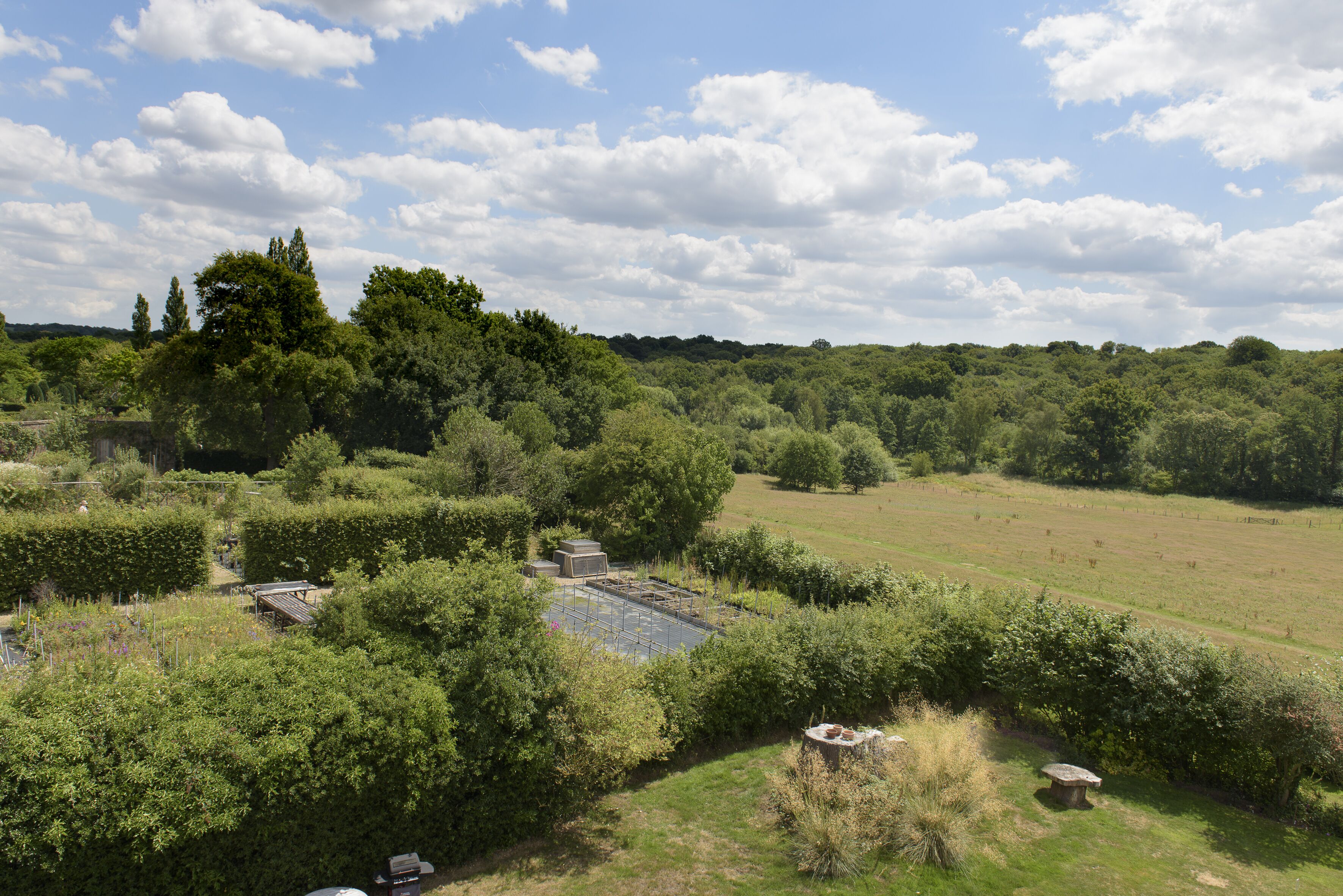 A rural landscape with a large open field, dense greenery, and a few scattered structures.