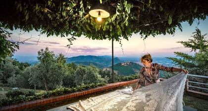 Maison romantique "Le jardin des oliviers"