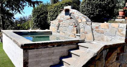 Romantic house "the garden of olive trees"