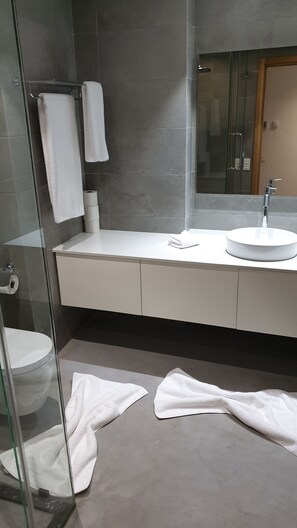 Apartamento Deluxe, 2 habitaciones | Baño | Ducha, cabezal de ducha tipo lluvia, secador de pelo y toallas