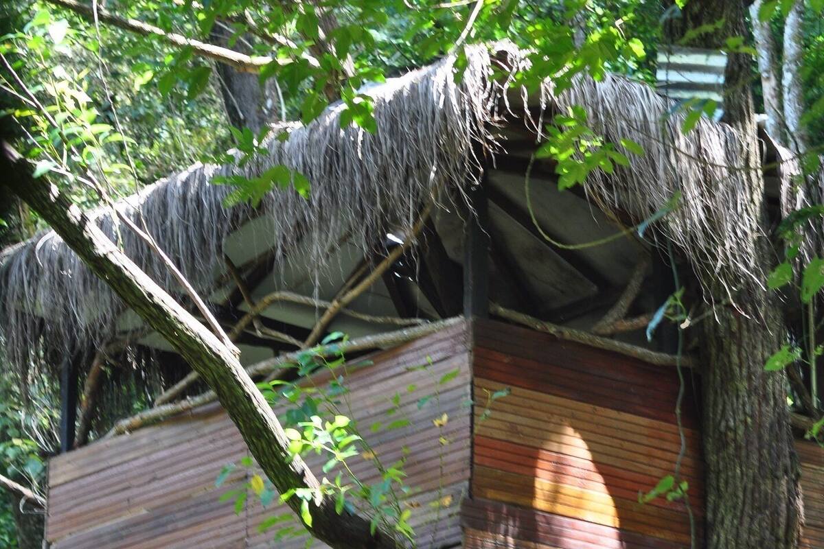 Basic Tree House | 5 bedrooms
