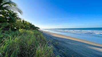 On the beach, sun loungers, beach towels