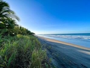 Plage, chaises longues, serviettes de plage
