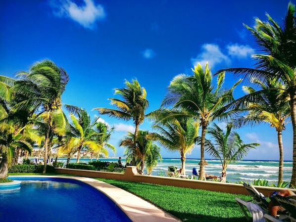 Área da piscina com palmeiras e vista para o oceano.