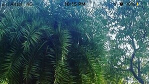 Indoor/outdoor pool - regulus resort & spa (Kumta)