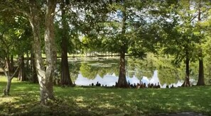Escape to a serene natural oasis surrounded by lush greenery and a tranquil body of water.