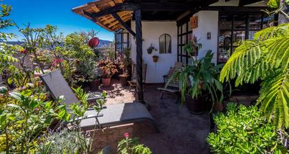 Casa Xola