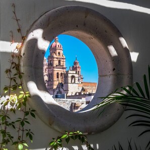 Xola 5 - Rooftop Garden Suite