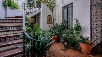 Xola 2 - Patio Breezeway | Terraza o patio