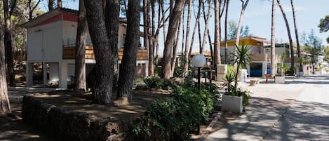 Jardin