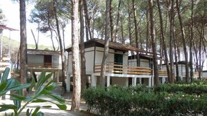 Un bâtiment moderne doté d’une terrasse en bois et d’un chemin en pierre, entouré d’arbres denses.