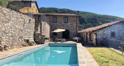 New Tuscan villa for large group, private pool, walk to restaurant