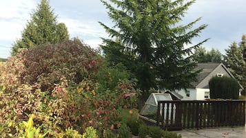View from room