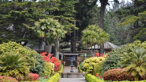 Un sendero conduce a una edificación tradicional rodeada de abundante vegetación y plantas diversas.