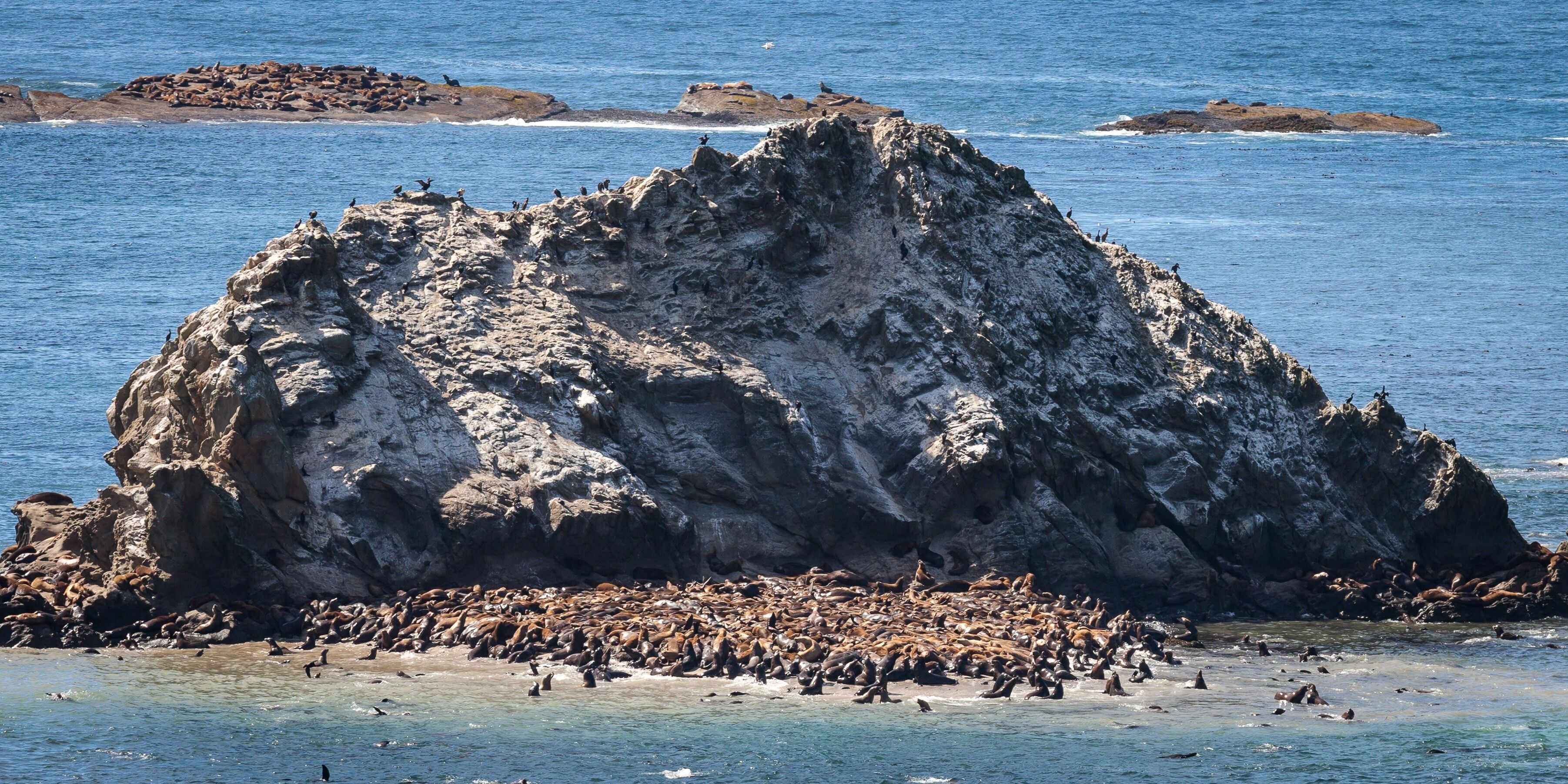 Un paysage côtier rocheux, avec une grande formation rocheuse et une colonie d’otaries sur la plage.