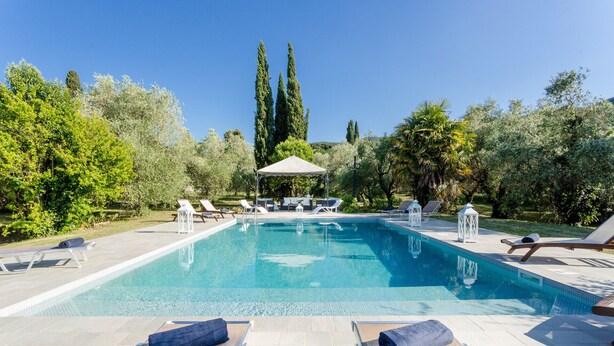 Una piscina rectangular con sillas de descanso y sombrillas, rodeada de follaje y árboles.