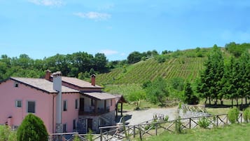 Ulkopuoli