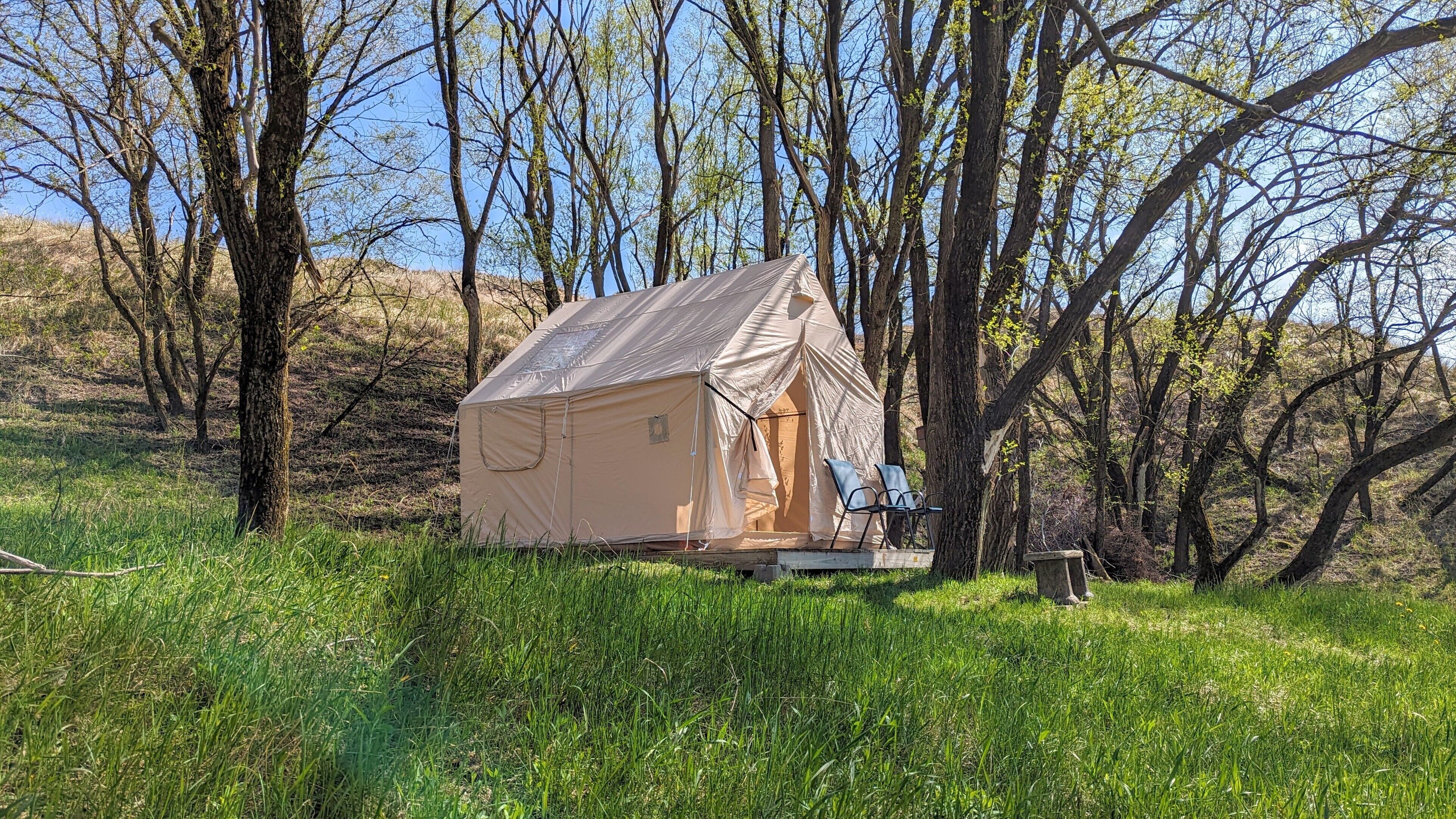 A single-person tent in a grassy field with trees in the background.