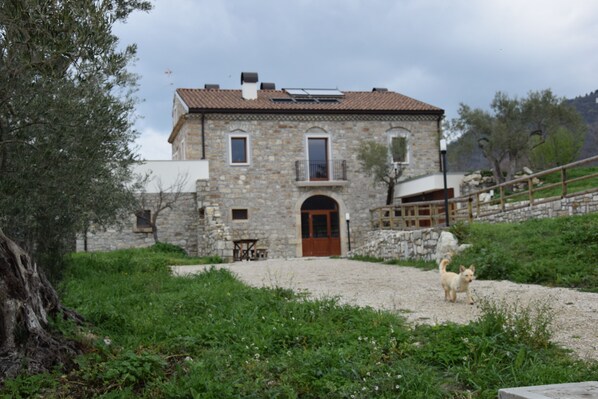 Front of property