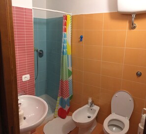 Shower, hair dryer, bidet, towels