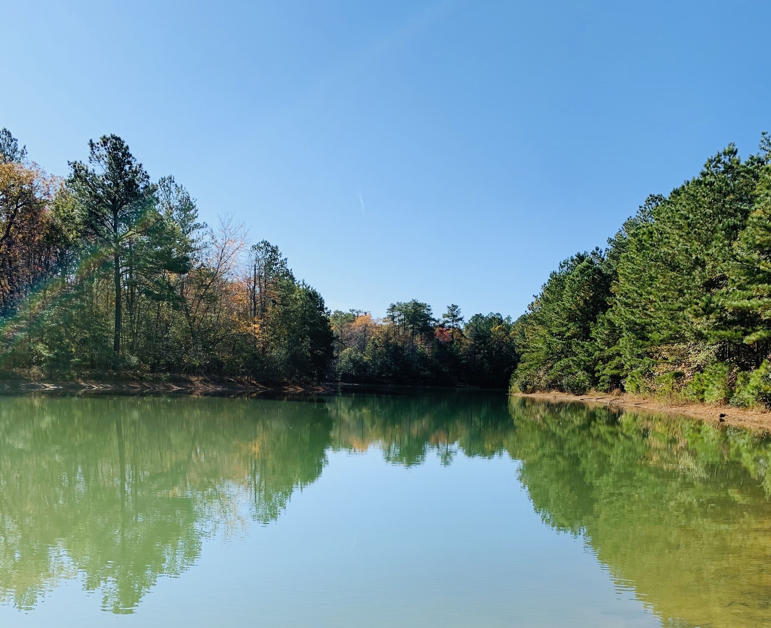 A calm lake surrounded by dense forest with clear reflections.