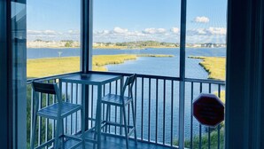 A room with a large window overlooking a water body and grassy areas. There is a table and two chairs inside the room.