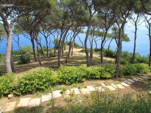 Parco della struttura