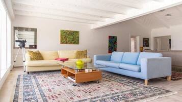 Smart TV, chimenea y libros