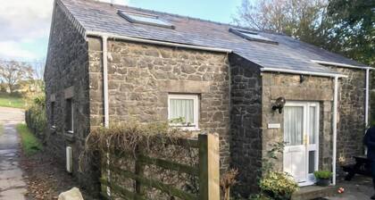 The Pump by Interhome