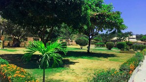 حديقة