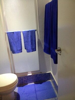 Shower, hair dryer, towels, soap