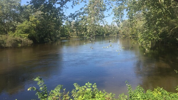 Une rivière bordée d’une végétation luxuriante et d’arbres.
