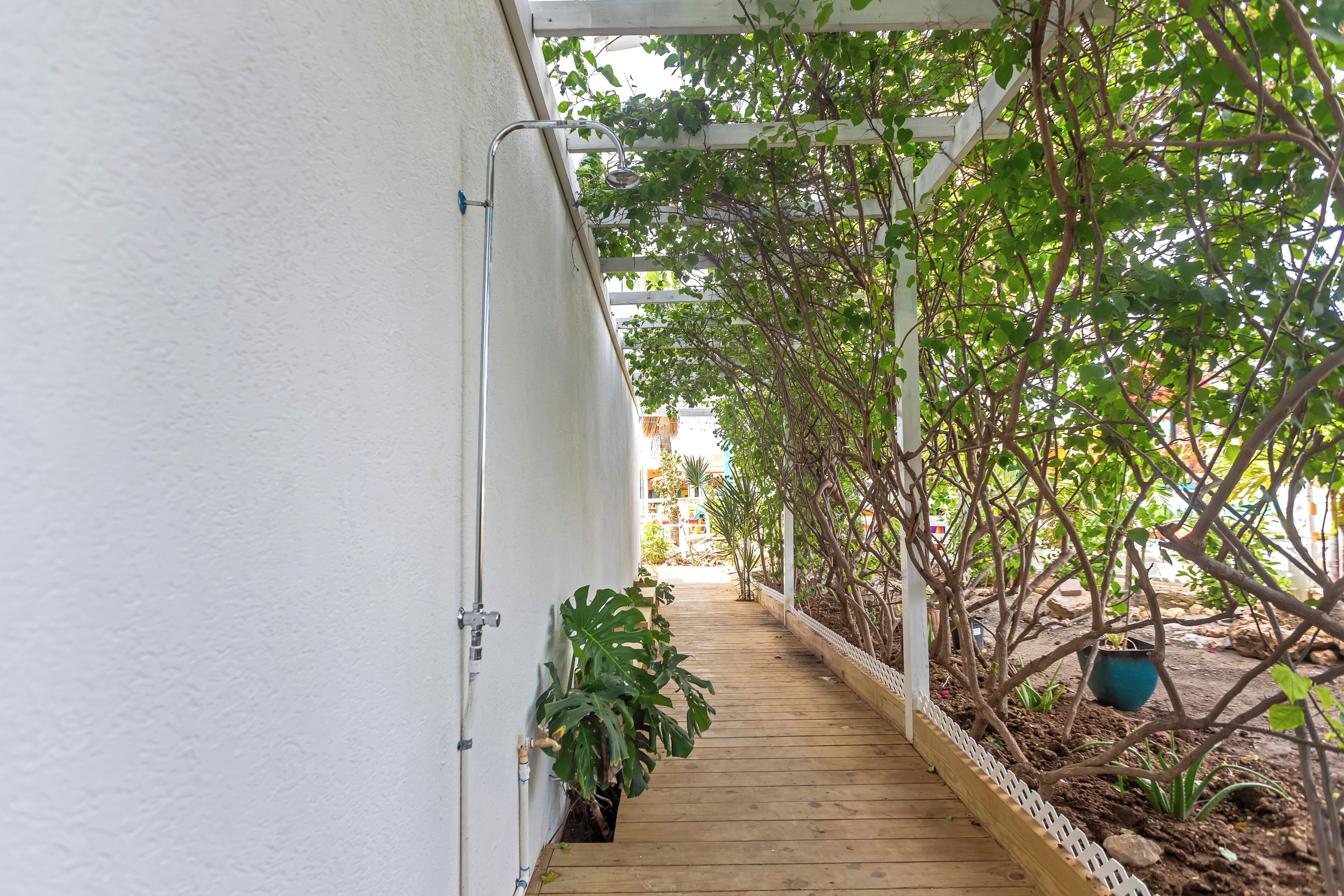 A wooden pathway leading to a white building, surrounded by greenery and potted plants.