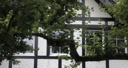 Into the countryside, quickly in Cologne!