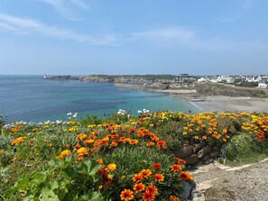 A coastal landscape with a rocky cliff, a lighthouse, and a row of houses.