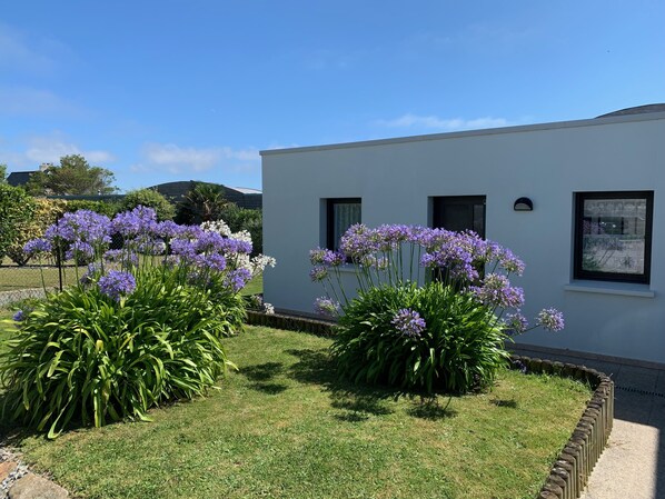 A modern building with a white exterior, surrounded by well-maintained gardens with purple flowers and green foliage.