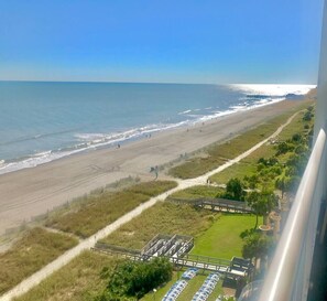 On the beach - Winter Rates! What a View! Oceanfront 2 BR Suite (Myrtle Beach)