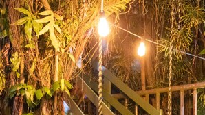 Exterior - Twin Fin Hostels (Bocas del Toro)