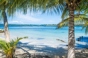 Beach nearby - Twin Fin Hostels (Bocas del Toro)