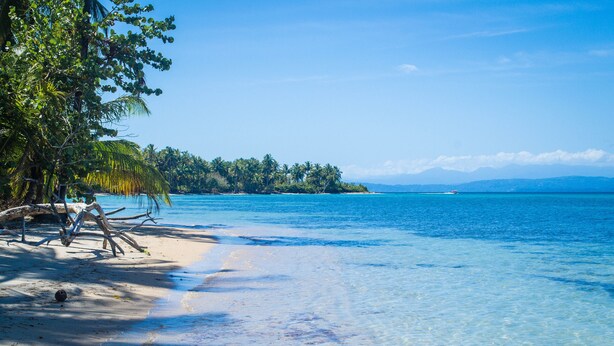 Beach - Twin Fin Hostels (Bocas del Toro)