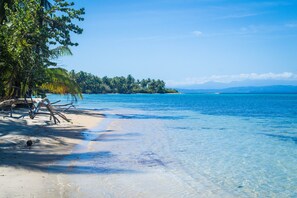Beach - Twin Fin Hostels (Bocas del Toro)
