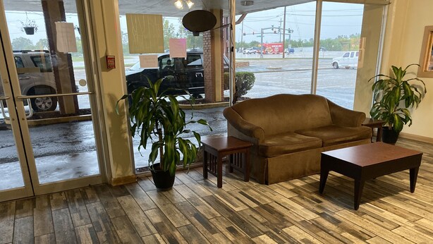 A cozy interior with a wooden floor, a brown sofa, a small table, and a potted plant.