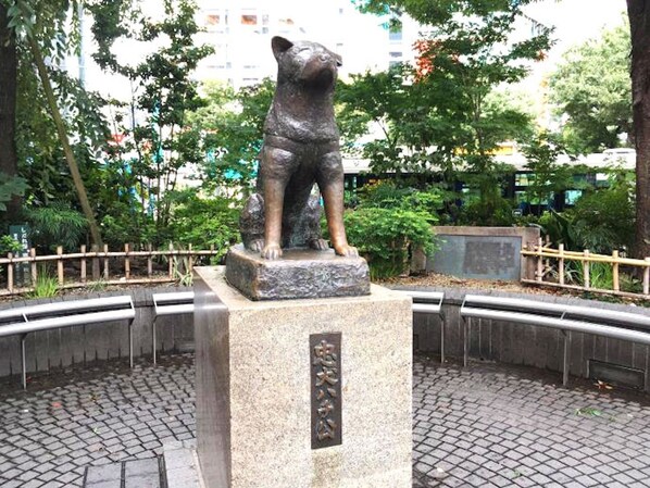 Property grounds - Shibuya Station Charming Place 8min walk 3ppl B102 - B102 / Shibuya-ku Tokyo (Shibuya-ku)