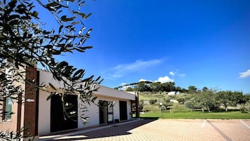 Un bâtiment moderne avec un espace d’entrée pavé et un ciel d’un bleu éclatant.