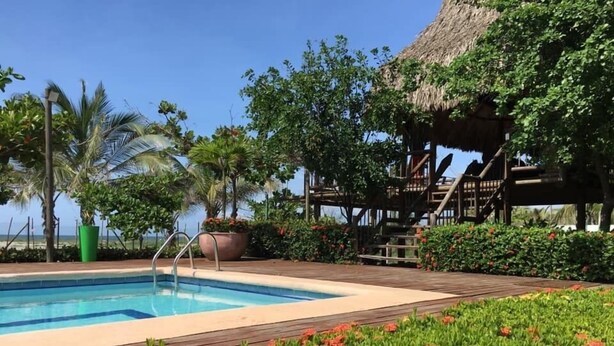 Un área de piscina con muelle de madera, una estructura de techo de paja y abundante vegetación.